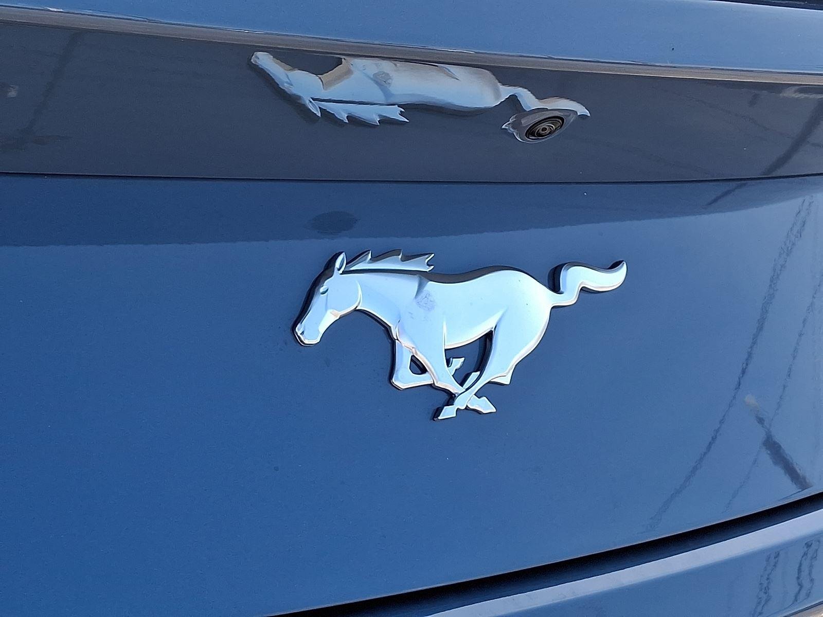 New 2026 Vapor Blue Metallic Ford EcoBoost® Premium Fastback image 20