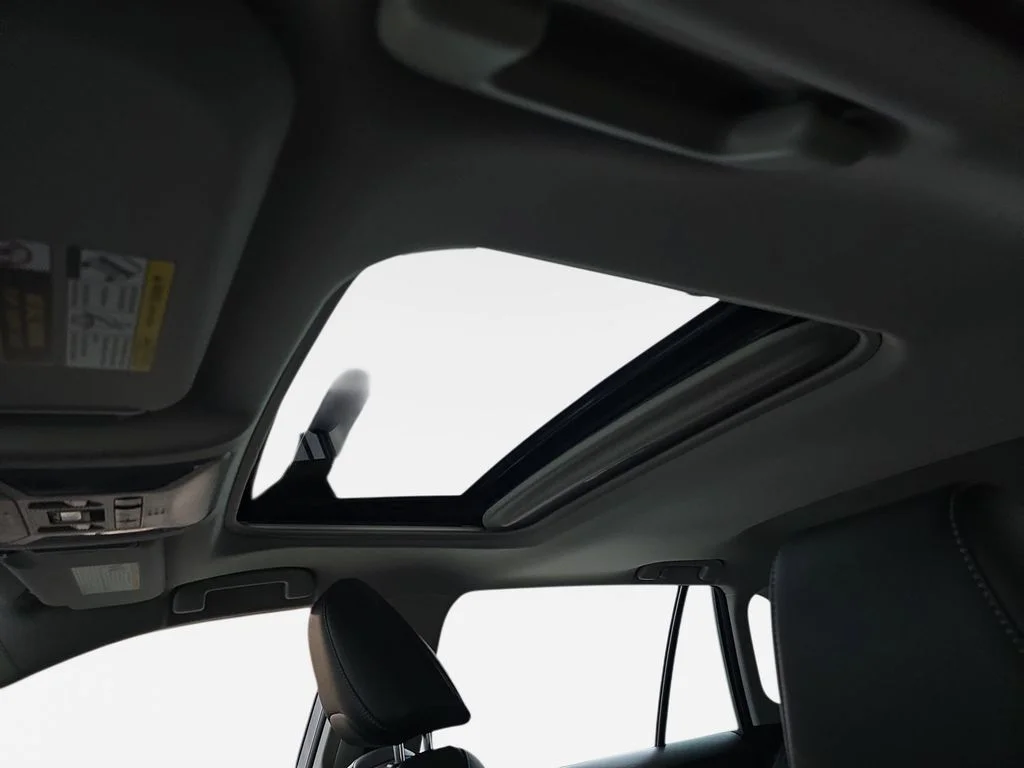 Used 2019 Silver Toyota XLE Premium image 31