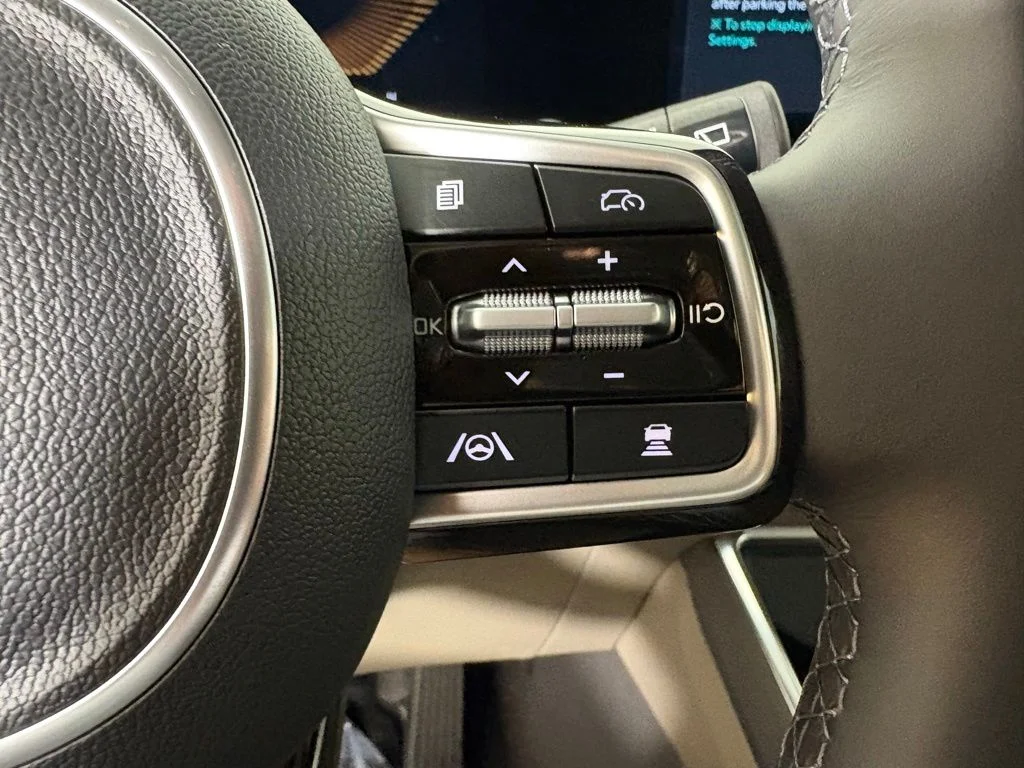 New 2026 Panthera Metal Kia EX image 23