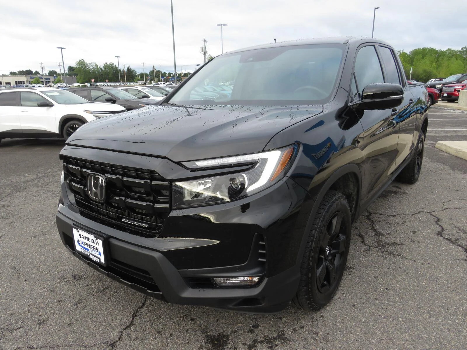 Used 2024  Honda Black Edition image 10