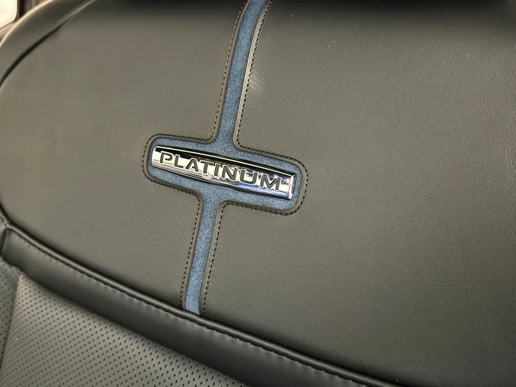 New 2026 Gray Ford Platinum image 21
