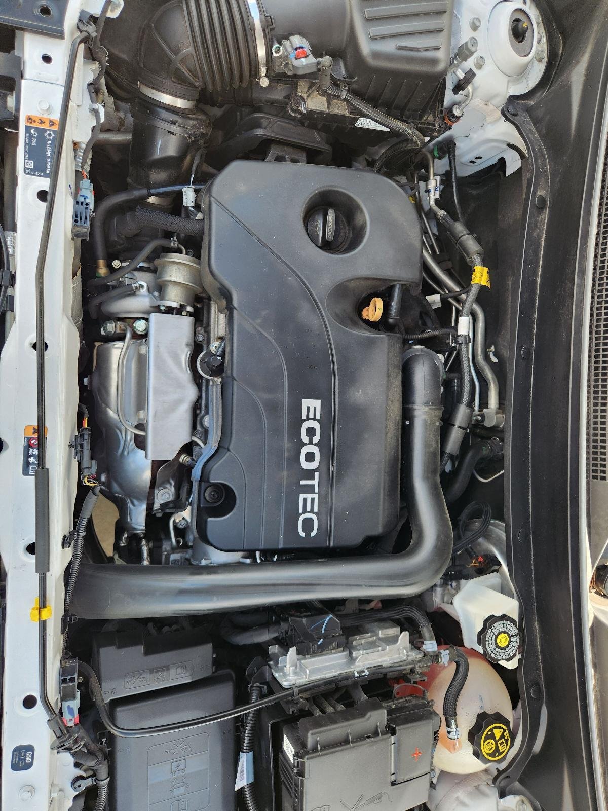 2020 GMC Terrain SLE White at Mossy Motors