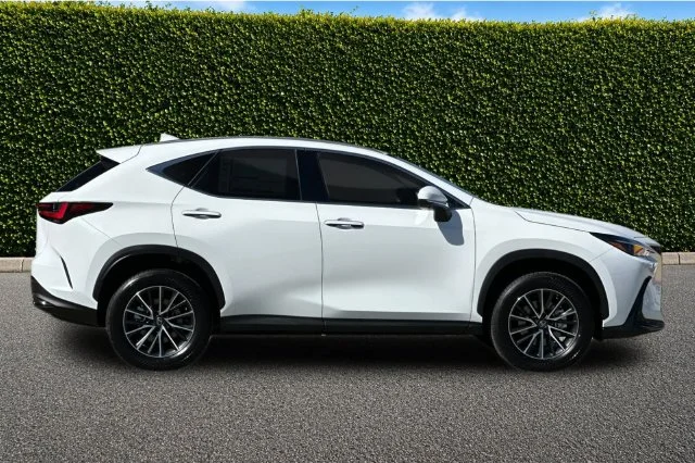 New 2026 Ultra White Lexus PREMIUM image 4