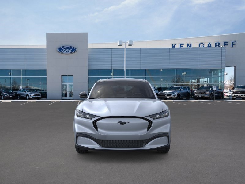 New 2026 Glacier Gray Metallic TriCoat Ford Premium image 7