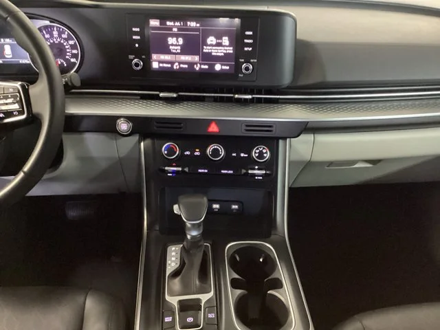 Used 2024 Panthera Metal Kia LX image 11