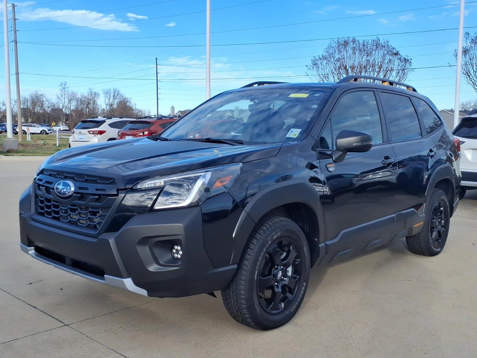 2024 Subaru Forester Wilderness's photo