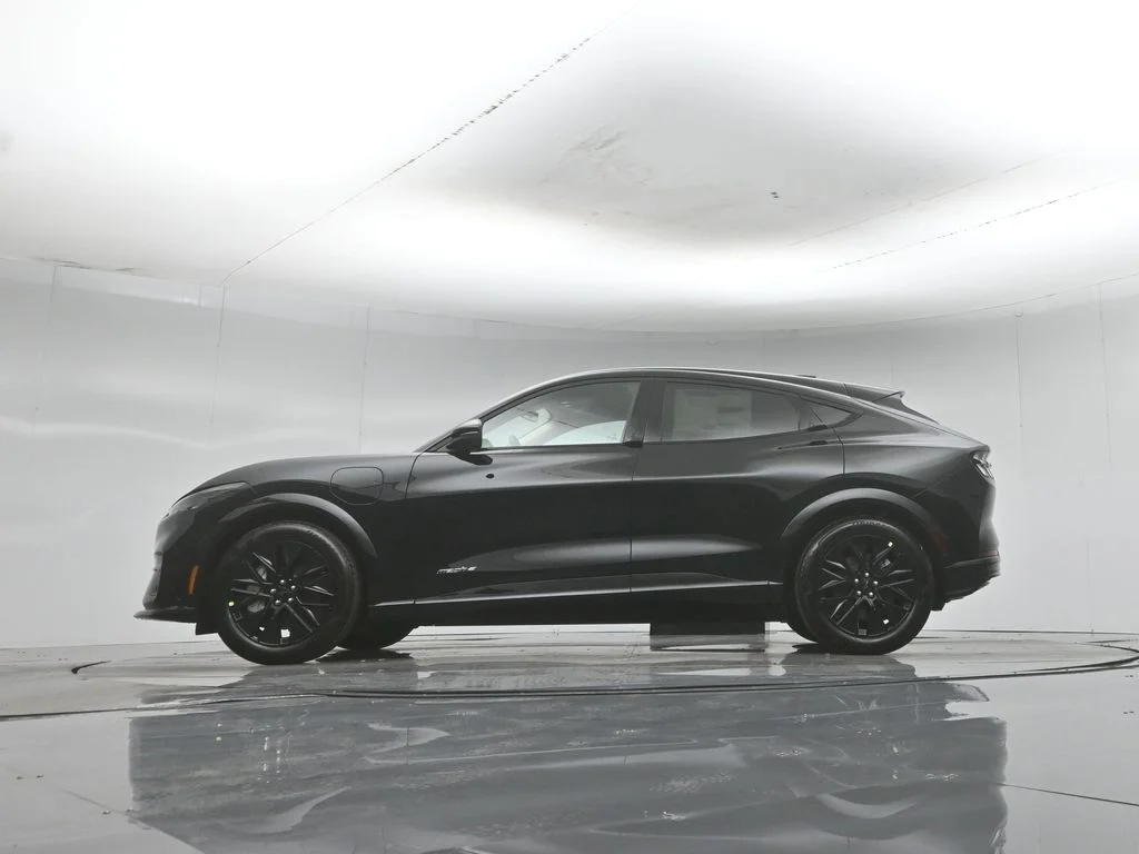 New 2026 Shadow Black Ford Premium image 7