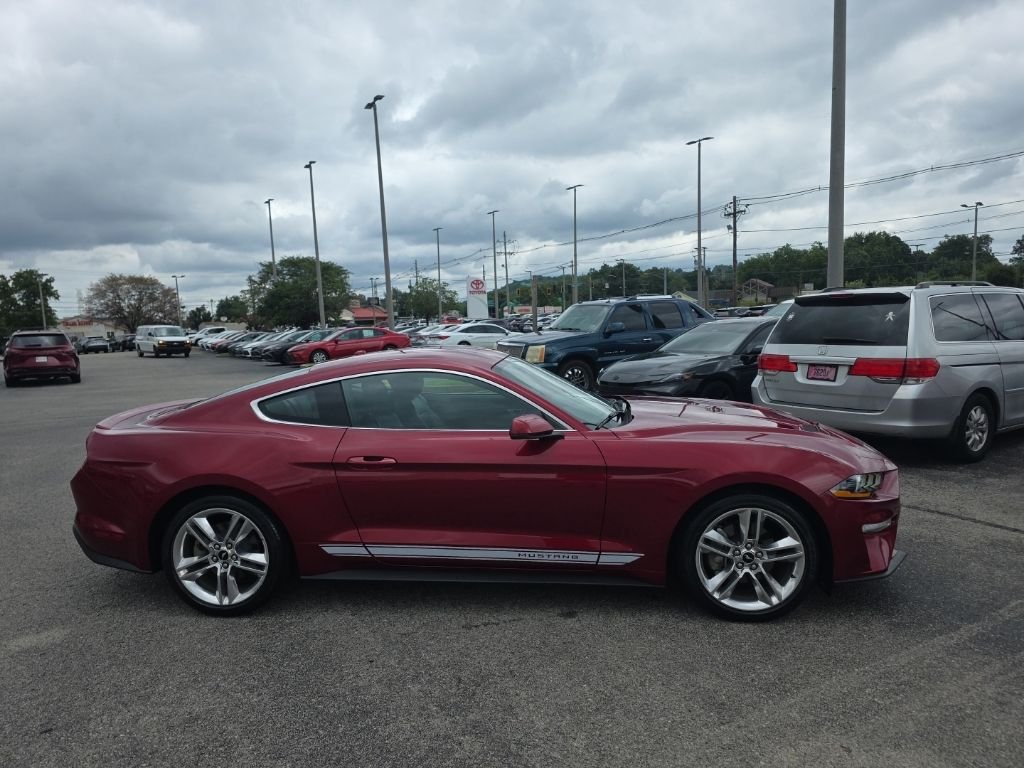 Used 2019 Red Ford EcoBoost Premium image 3
