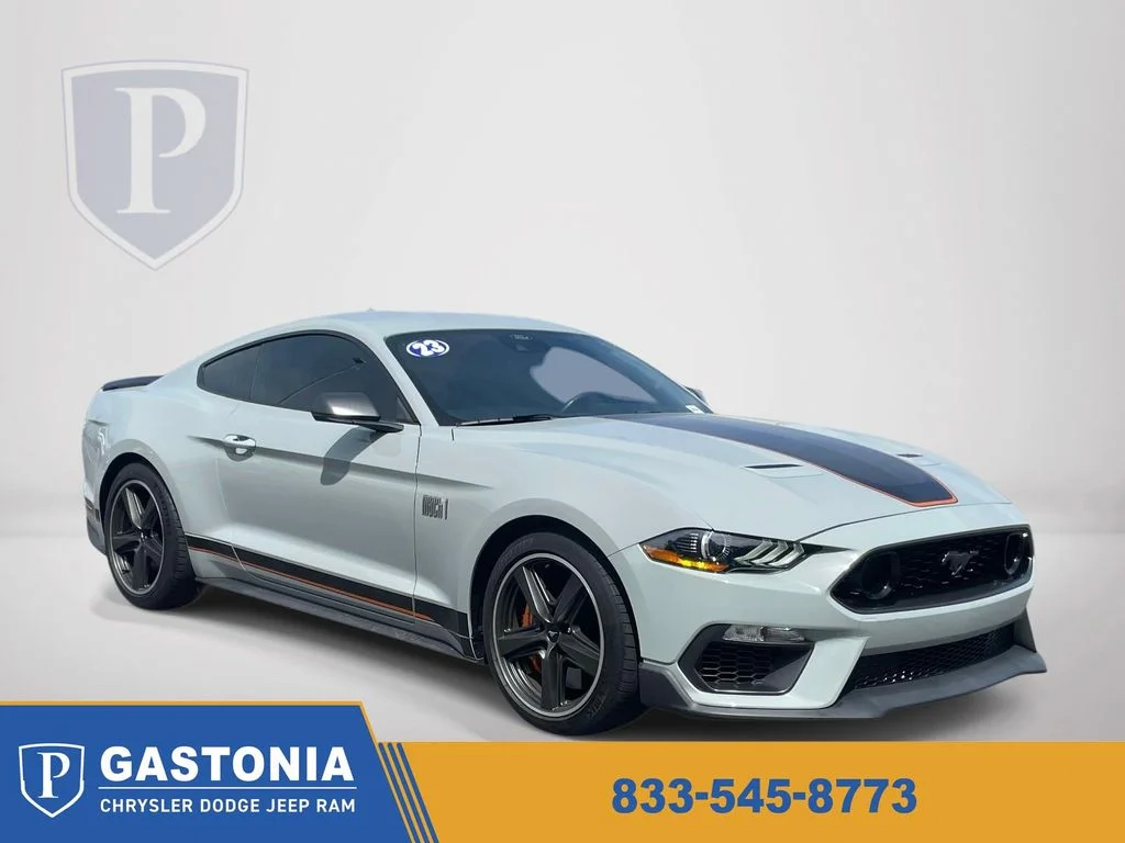 Used 2023 Gray Ford Mach 1 image 1