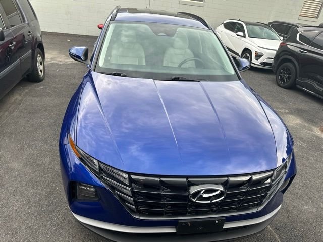 Used 2023 Blue Hyundai SEL image 2