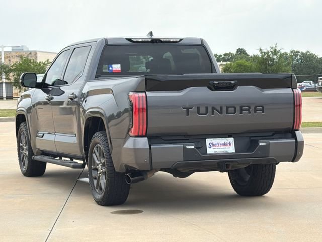 Used 2023 Gray Toyota Platinum image 6