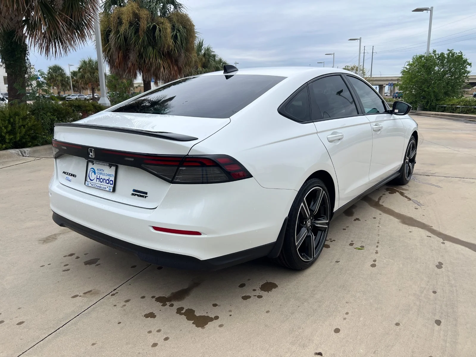 New 2026 Platinum White Pearl Honda Sport image 6