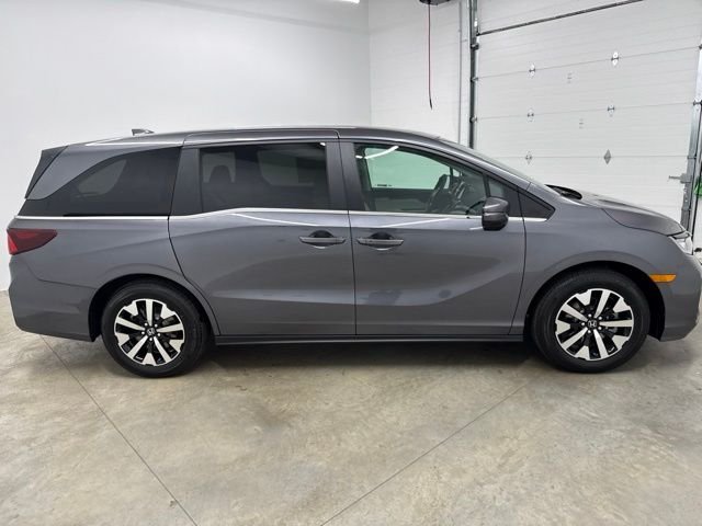 New 2026 Modern Steel Honda EX-L image 4