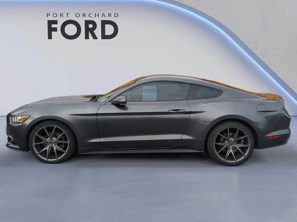 Used 2017 Gray Ford EcoBoost image 3