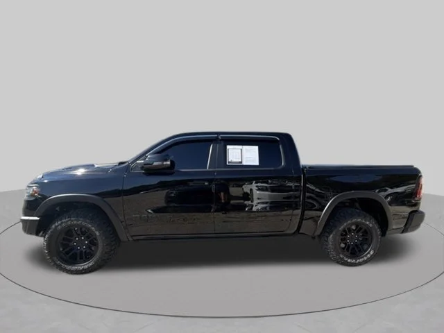 Used 2025 Black Ram Rebel image 7