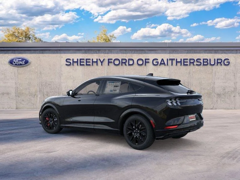 New 2025 Shadow Black Ford Premium image 4