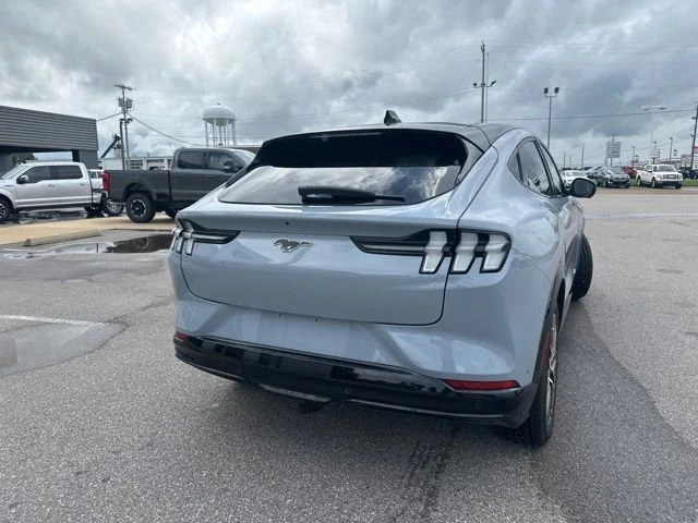Used 2024 Glacier Gray Metallic Ford Premium image 19