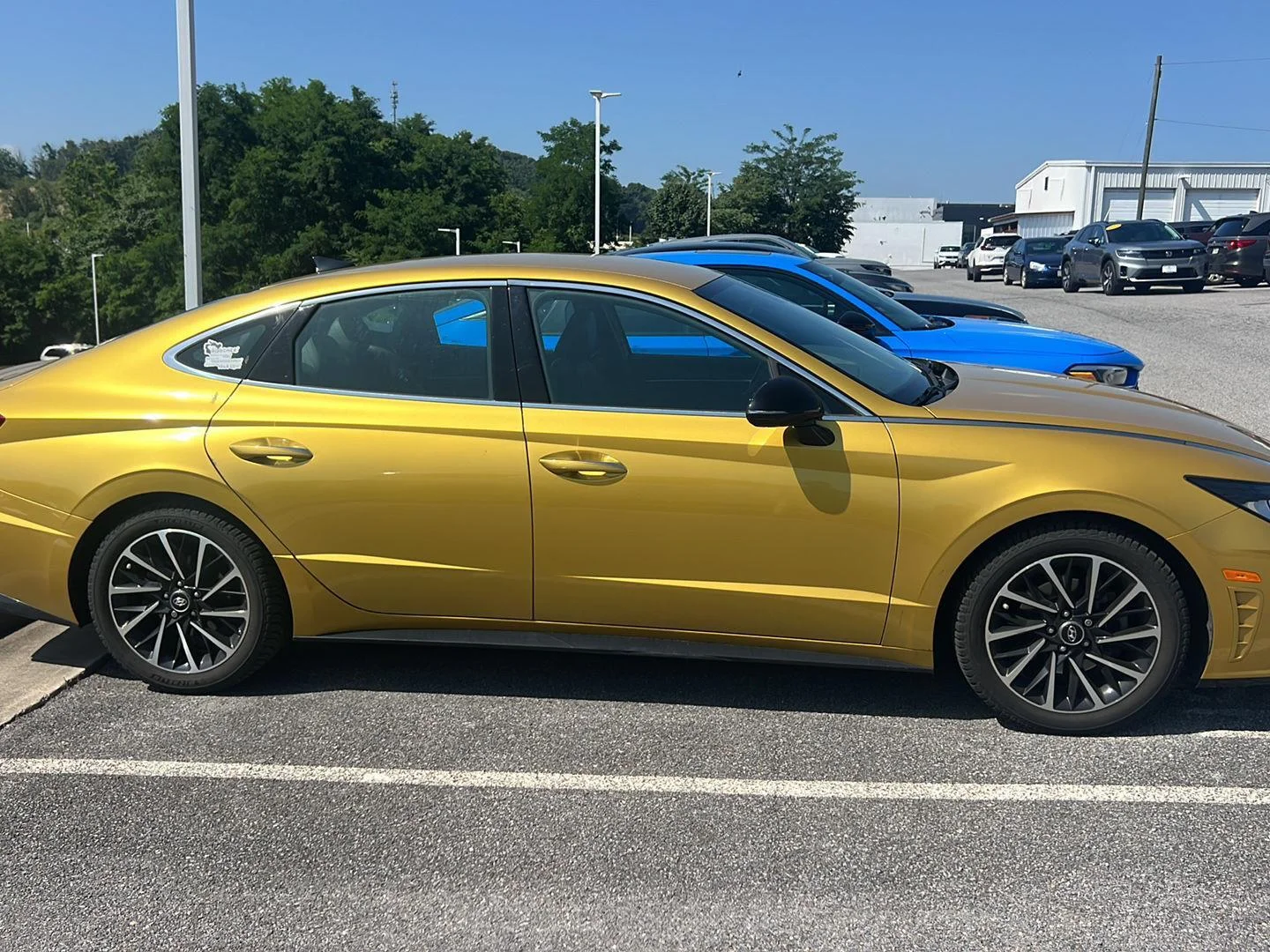 Used 2020 Glowing Yellow Hyundai SEL Plus image 5