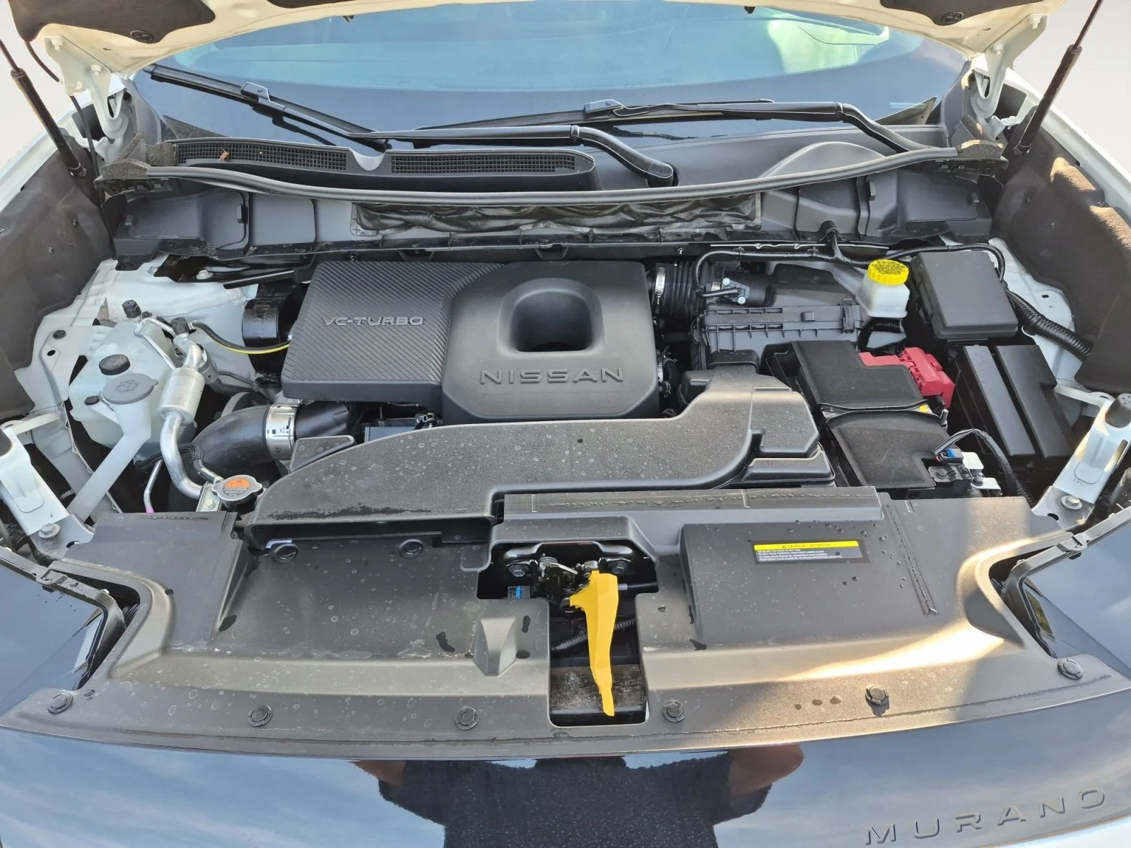 Used 2025 Everest White Pearl Tricoat Nissan SL image 31