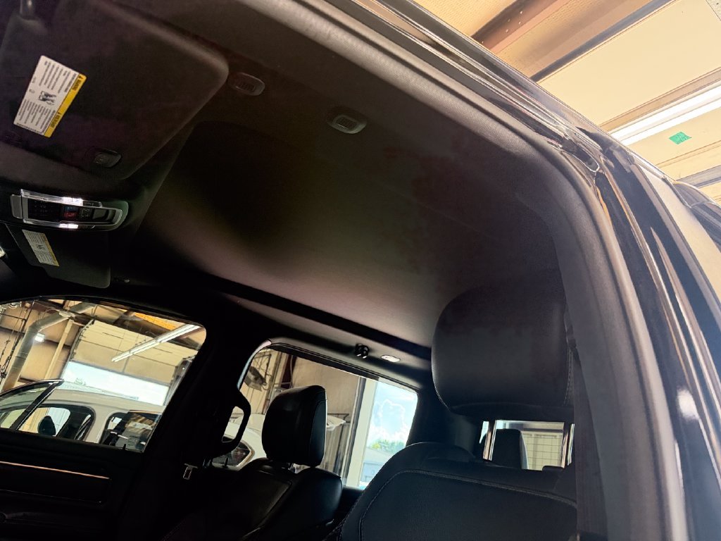 Used 2020 Black Ram Rebel image 18