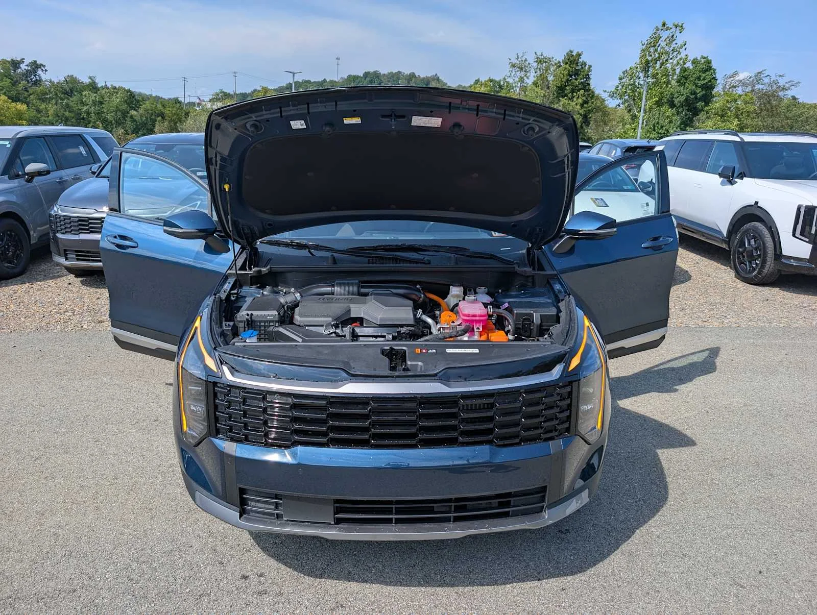 New 2027 Vesta Blue Kia S image 10