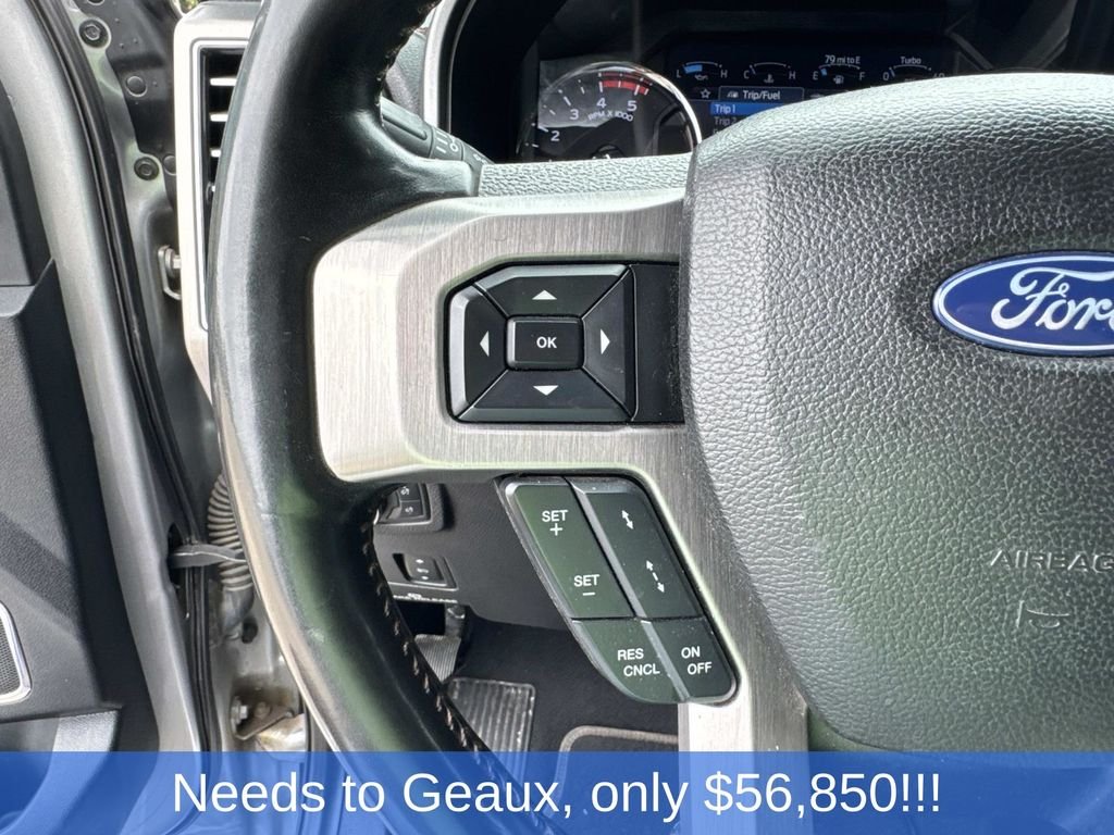 Used 2020 Silver Ford Platinum image 45