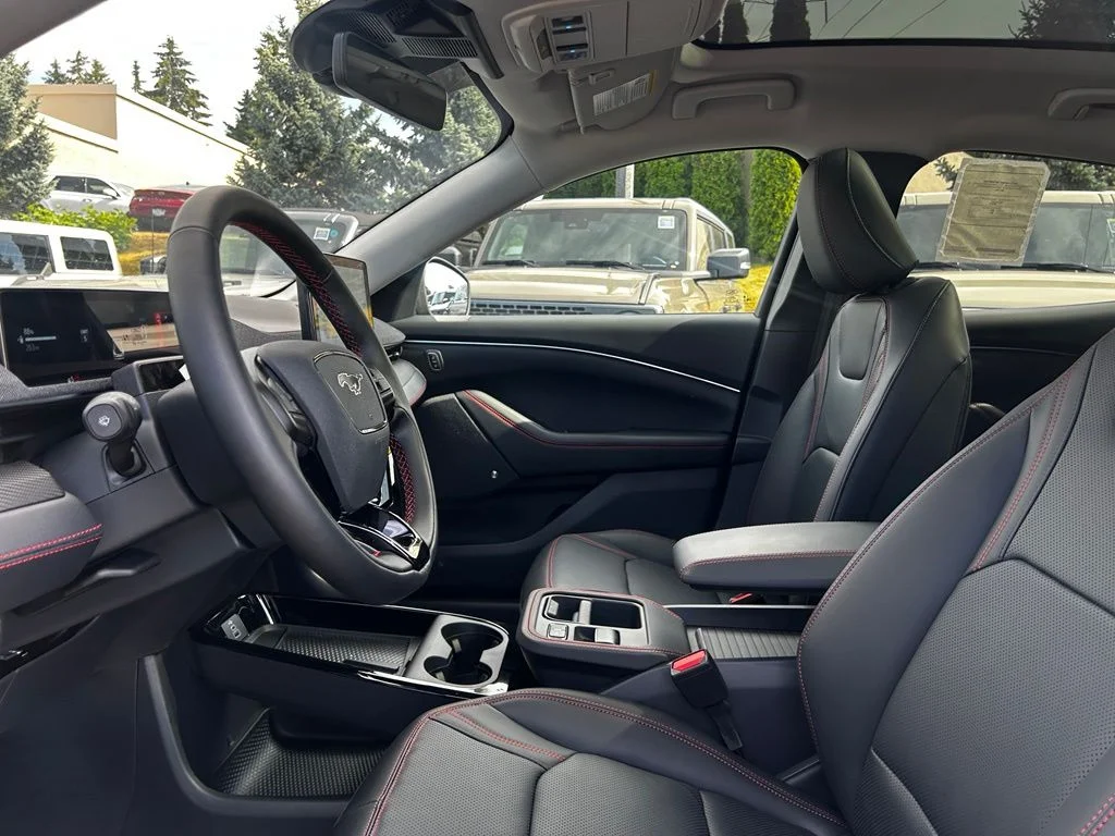 New 2026 Shadow Black Ford Premium image 13