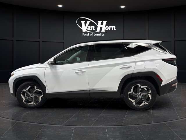 Used 2024 White Pearl Hyundai Limited image 4