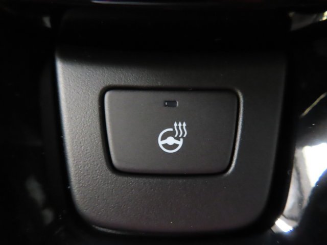New 2026 PLATINUM WHITE PEARL Honda  image 20