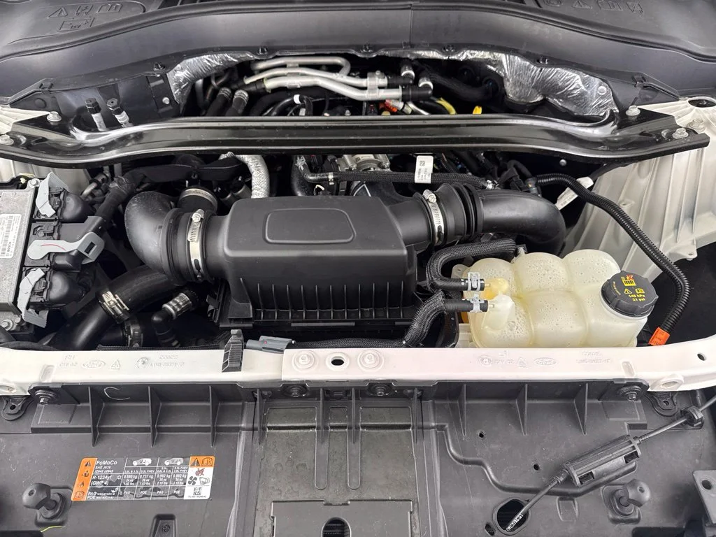 Used 2020 White Ford Platinum image 19