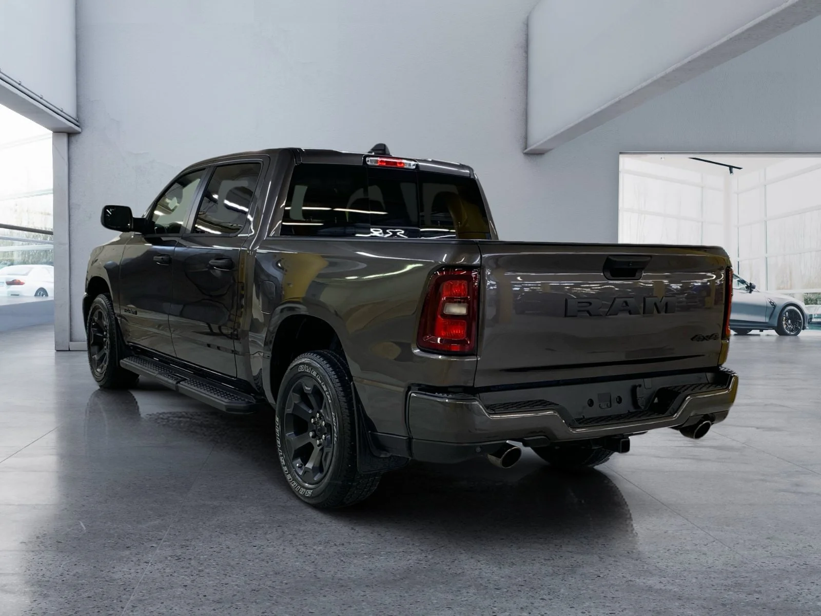 New 2026 Granite Crystal Metallic Ram Express image 3