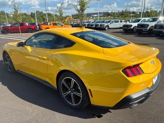 Used 2024 Yellow Ford EcoBoost image 5