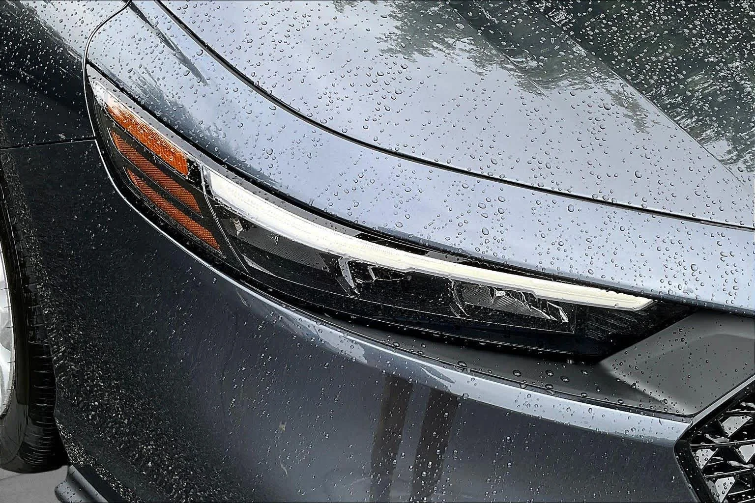 New 2026 Meteorite Gray Metallic Honda LX image 13