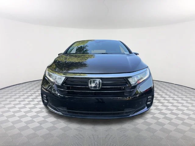 Used 2023 Black Honda Elite image 2