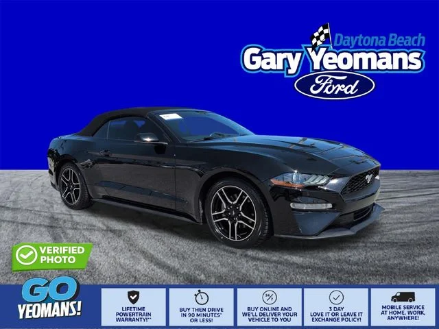Used 2019 Black Ford EcoBoost Premium image 1