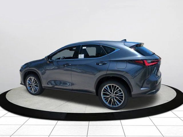2026 Lexus NX 350 Luxury - Photo 6