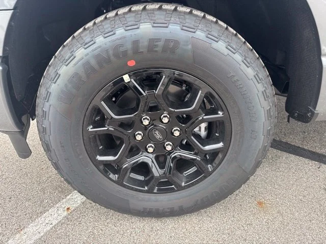 New 2026 Gray Ford STX image 11