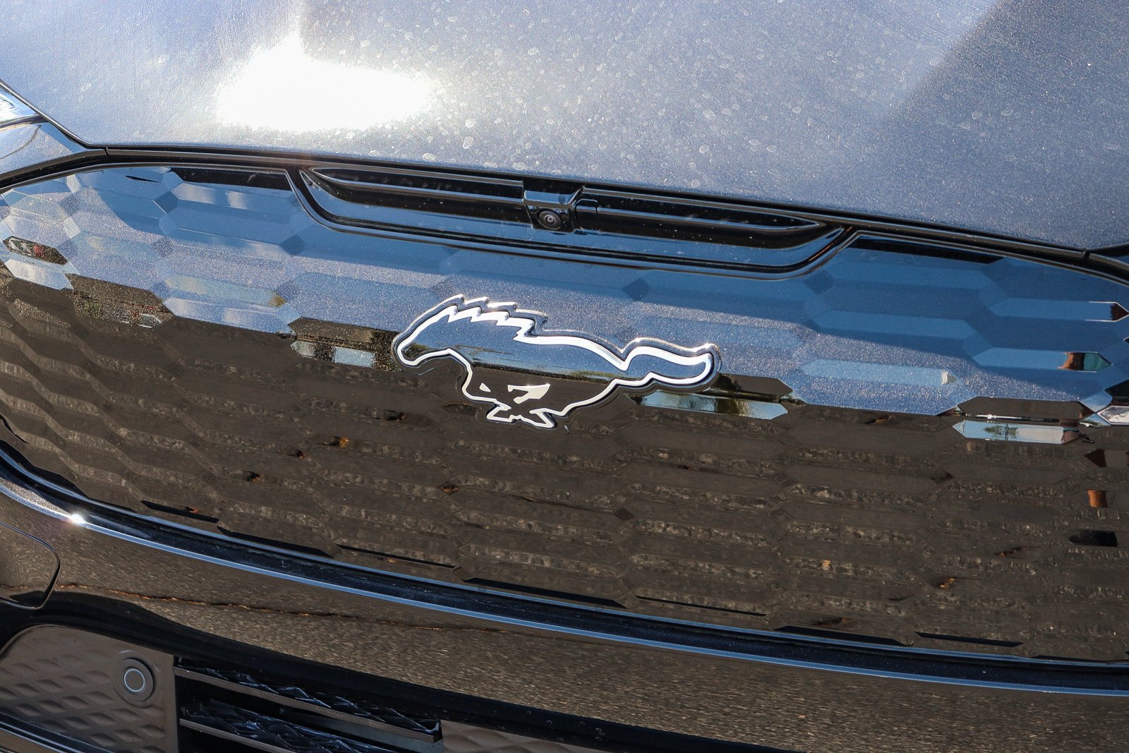 New 2026 Shadow Black Ford Premium image 11