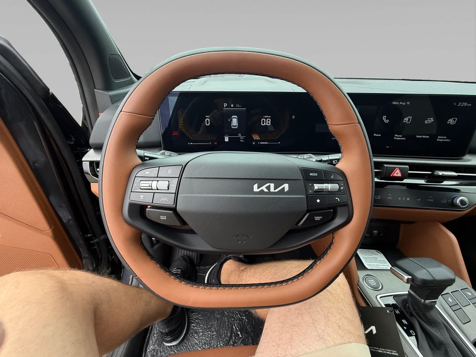 New 2026 Panthera Metal Gray Kia X-Line image 13