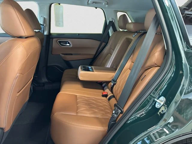 New 2026 Black Nissan Platinum image 13