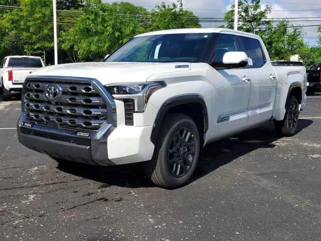 New 2026  Toyota Platinum image 2