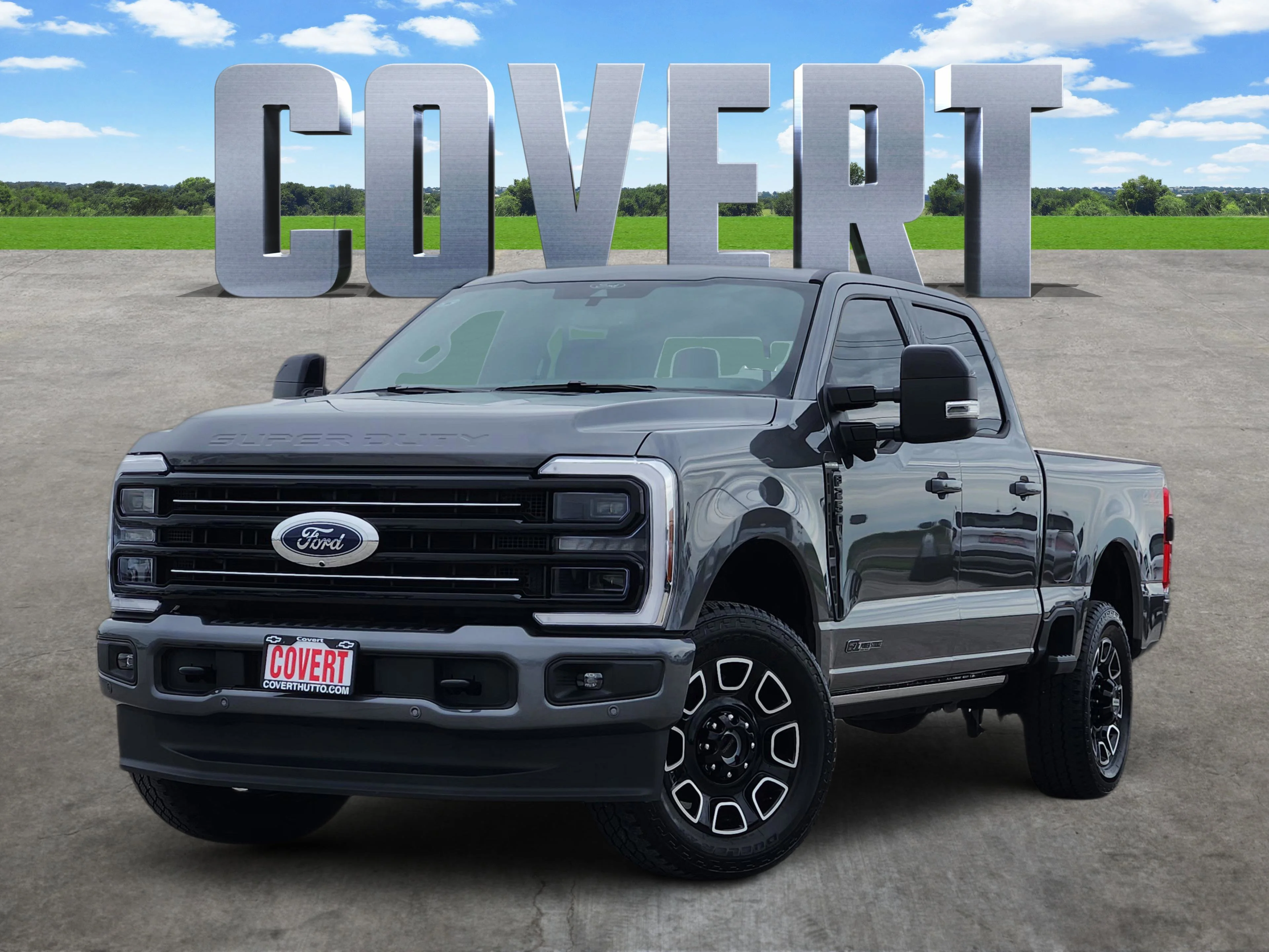 Used 2025  Ford Platinum image 1