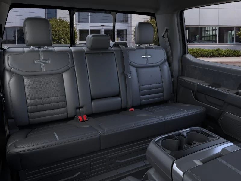 New 2026 Black Metallic Ford Platinum image 33