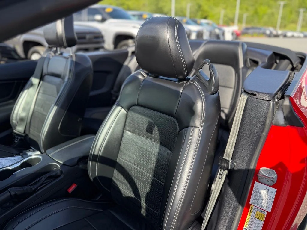 Used 2019 Red Ford GT Premium image 10