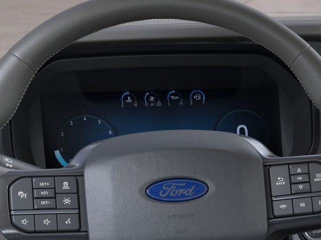 New 2026 Agate Black Metallic Ford Platinum image 13