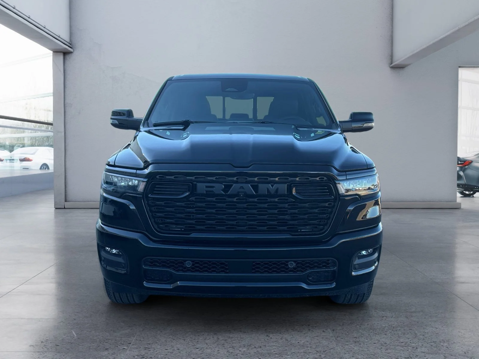New 2027 Diamond Black Crystal Pearl Ram Sport image 8
