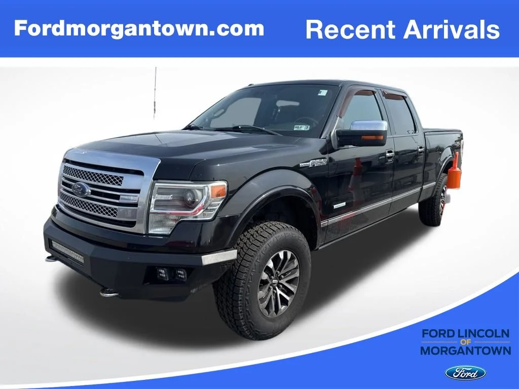 Used 2014 Brown Ford Platinum image 1