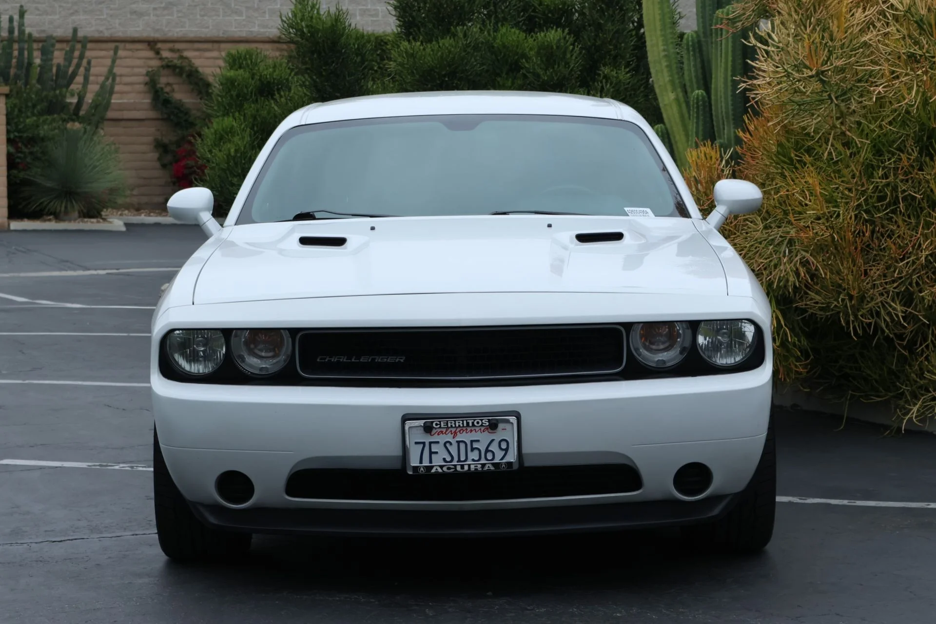 Used 2013 White Dodge SXT image 3