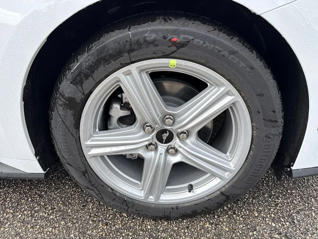 New 2026 White Ford EcoBoost image 9