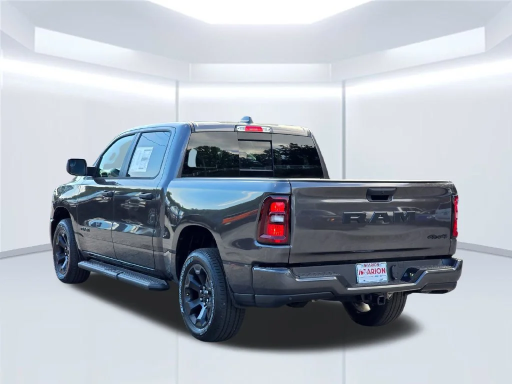 New 2026 Gray Ram Express image 17